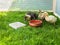 Cute ducklings surround water pot in a fenced area of green grass