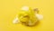 A cute durian meat shape and flavor popsicle melting timelapse on yellow background