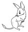Cute Easter bilby in egg. Australian animal. Linear, outline drawing, coloring book. Kids collection. Vector
