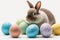 Cute Easter Bunny with Flowers and Easter Eggs, white background, professional studio photography, space for text