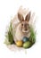 Cute Easter bunny in grass with three colourful painted eggs , sketch