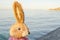 Cute easter bunny head shoot and sea in the background