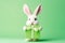 Cute Easter Bunny presenting a gift card - stock picture