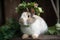 Cute Easter Bunny with Wreath in Nature. Perfect for Easter Invitations and Cards.