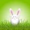 Cute easter egg bunny in grass