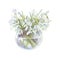 Cute Easter flowers. Spring snowdrop flowers. Hand drawn watercolor snowdrop flower bouquet in glass jar. First spring white flowe