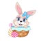 Cute Easter rabbit in basket with eggs kawaii cartoon vector character