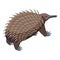 Cute echidna icon isometric vector. Animal nature