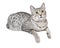 Cute Egyptian Mau Cat