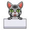 Cute egyptian mau cat cartoon holding blank sign