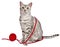 Cute Egyptian Mau with yarn wrapped around her