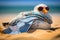 Cute elegant seagull is on summer vacation sunbathing at seaside resort and relaxing on summer beach