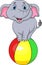 Cute elephant cartoon standing on a colorful ball