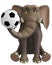 Cute elephant seated holding ball