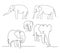 Cute elephants continuous one line drawings set