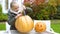 Cute emotional girl carves pumpkin jack-o-lantern excited with process Halloween