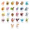 Cute English animal alphabet set