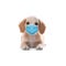 Cute English Cocker Spaniel puppy in medical mask on background. Virus protection for animal