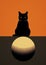 Cute evil feline halloween black pets moon background cat full animals kitty night blue