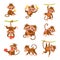 Cute exotic monkey characters. Cartoon funny primates. Different poses. Tropical animal hanging on vines. Isolated