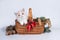 Cute exotic Shorthair kitten in a basket with fir branches, cones and Christmas decorations