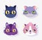 Cute faces cats differents gesture domestic cartoon animal, collection pets