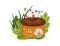 Cute fairy house in fairytale forest. Tiny little gnome home in cozy acorn in nature among plants. Fancy dreamy fantasy