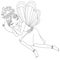 Cute fairy is sleeping on pillow, coloring book