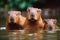 Cute family of capybaras swimming together in a tranquil pond. AI generated