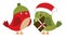 Cute Family of Christmas Birds with Gift Box. Vector Xmas Birds