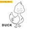 Cute farm animal easy coloring page for kids. Cute and funny smiling duck cartoon character.