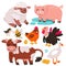 Cute farm animals and birds set, domestic characters in childish livestock collection