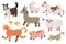 Cute farm animals collection, colored vector illustrations of cow, pig and sheepdog with textured effect. Colored doodle