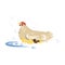 Cute farm mother chicken take care about kids