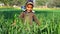 Cute farmer kid with woolen hat in the green field. Cheerful kid closeup with smiling face. Slow motion high quality video