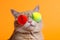 cute fashion sunglasses funny colourful pet neon animal cat portrait. Generative AI.