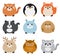 Cute Fat Animal Set