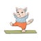 Cute fat cat doing yoga, one leg stand. Yoga for everyone. Character design, cat yoga or mascot, stickers
