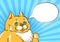 Cute fat cat pointing on empty speech bubble, pop art comic style illustration. Hungry funny cat eps10