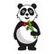 Cute fat panda mascot cartoon character illustration eating bamboo