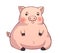 Cute fat pink piglet