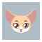 Cute fennec fox avatar with flat colors