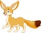 A cute fennec fox stands