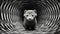 Cute Ferret In Twisting Tunnel: Monochromatic Close-up Portrait