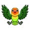 Cute fischer love bird cartoon flying