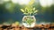 A cute fish swims in a transparent vase with green plants