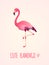 Cute flamingo. Tropical pink bird, girl card poster exotic wild nature, party beach beauty sticker isolated cartoon