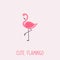 Cute Flamingo vector illustration with Pink Flamingo. lettering isolated illustration