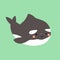 Cute flat killer whale drawing. Adorable little cartoon orca vector illustration. Childish rare animal wild ocean concept