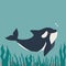 Cute flat killer whale drawing. Adorable little cartoon orca vector illustration. Childish rare animal wild ocean concept with